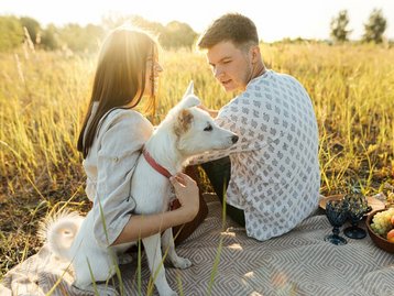oekologischen-Bauherr-Hausbau
